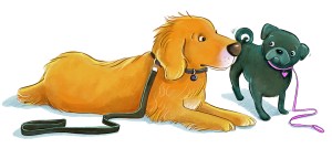 HH PHOTO, Gracie & Twinkles